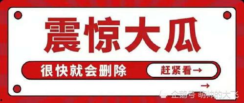 关于吃瓜娱乐八卦的网名,揭秘娱乐圈幕后风云